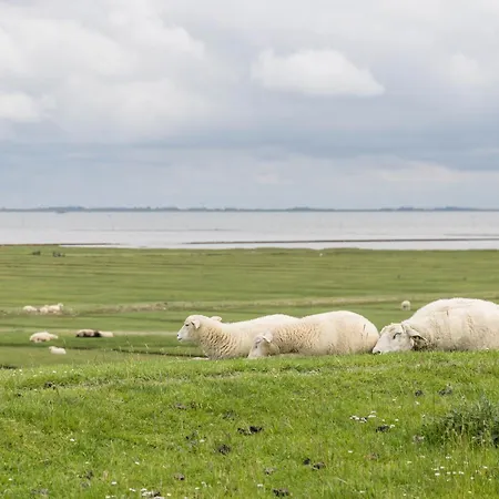 Nordergaard Hus * Pellworm