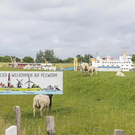 Nordergaard Hus Daire *