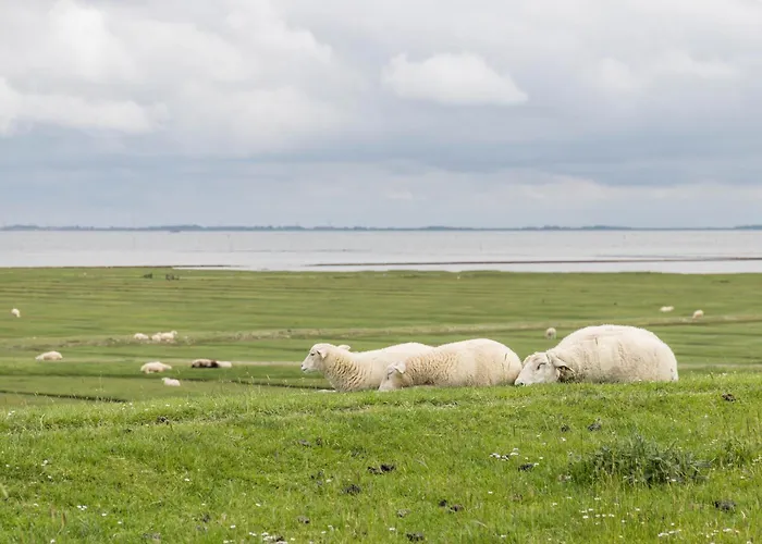 Nordergaard Hus * Pellworm